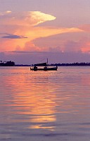 Click picture for bigger size picture