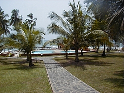 Gold Coast Coconut Grove - Click picture for bigger format